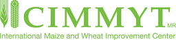 CIMMYT