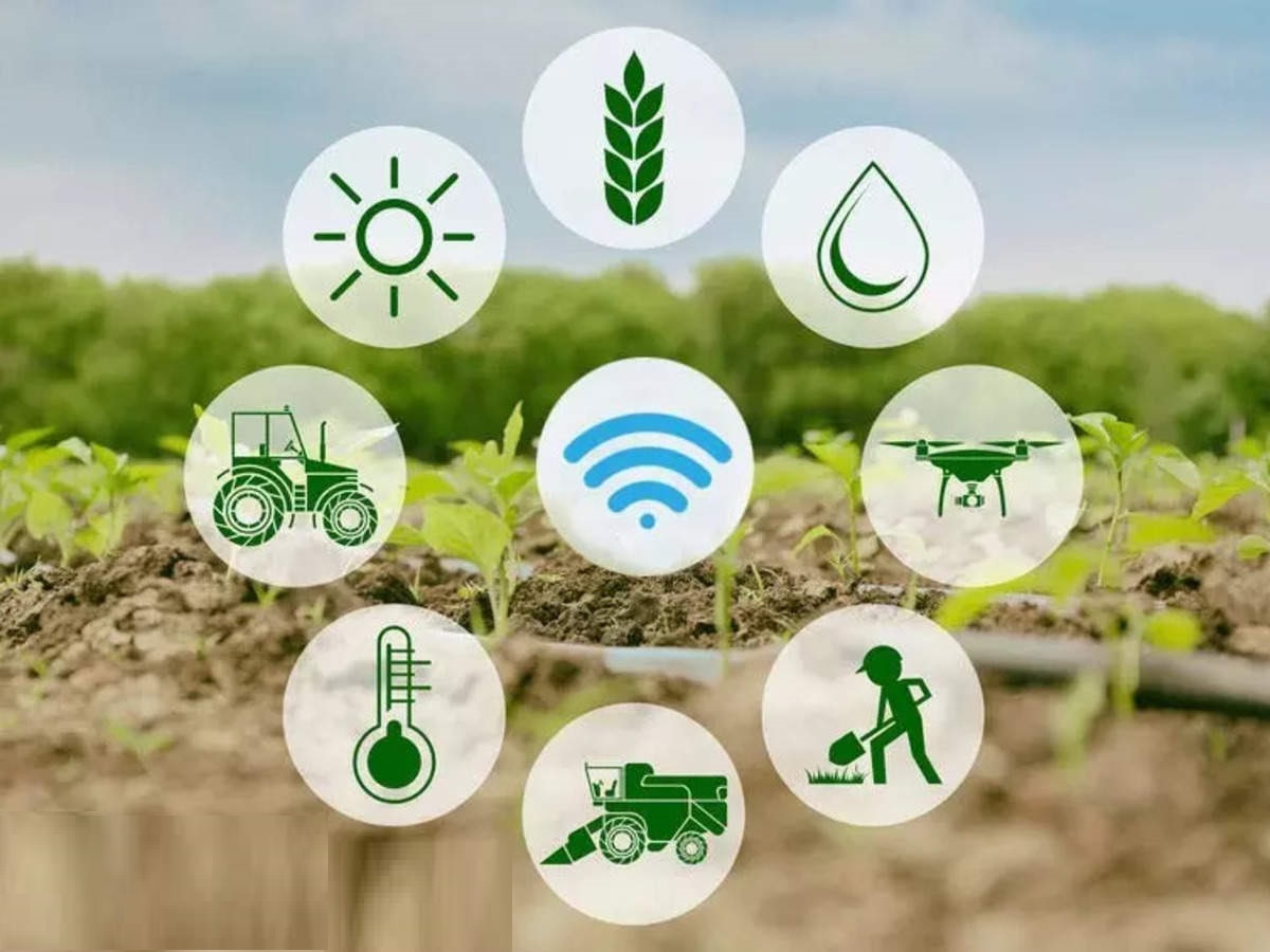 Ethiopian Agricultural Datahub Introduces New Features and is ready to be launched by November 2024